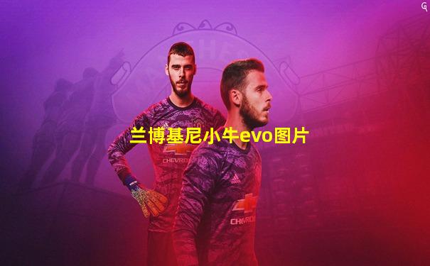 兰博基尼小牛evo图片
