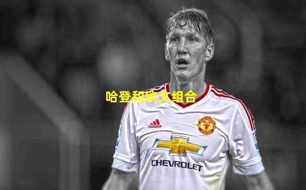 哈登和欧文组合