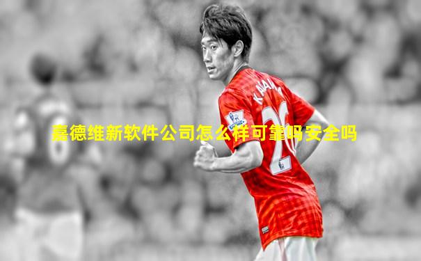 嘉德维新软件公司怎么样可靠吗安全吗