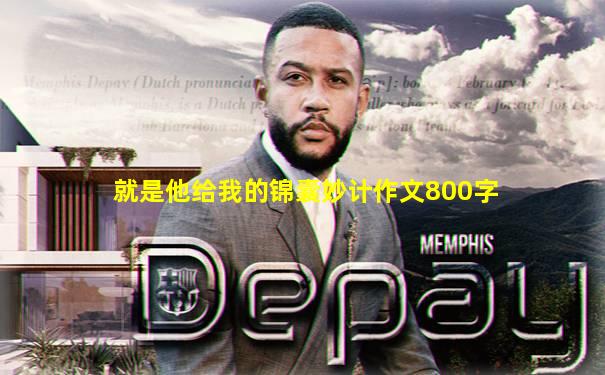 就是他给我的锦囊妙计作文800字