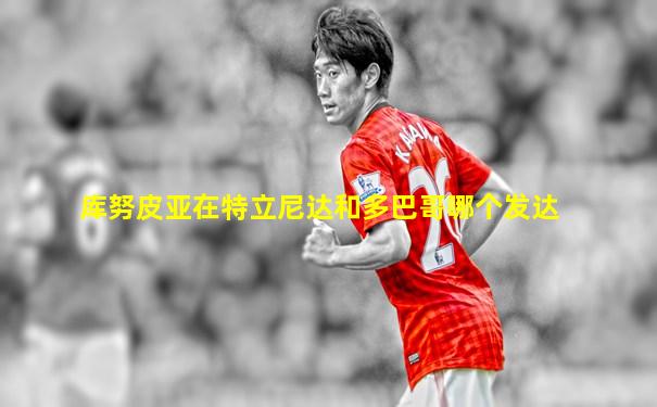 库努皮亚在特立尼达和多巴哥哪个发达