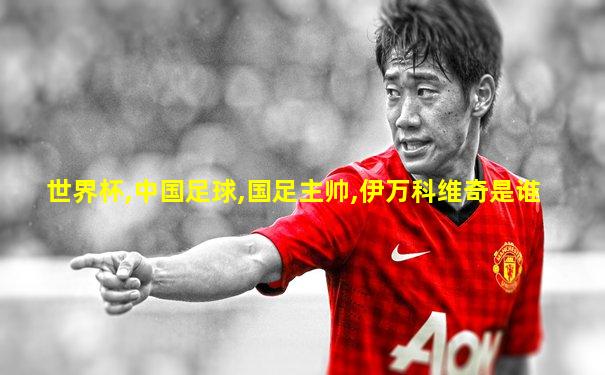 世界杯,中国足球,国足主帅,伊万科维奇是谁