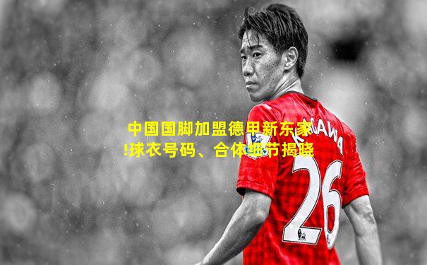 中国国脚加盟德甲新东家!球衣号码、合体细节揭晓