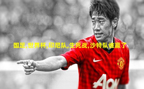 国足,世界杯,印尼队,生死战,沙特队谁赢了