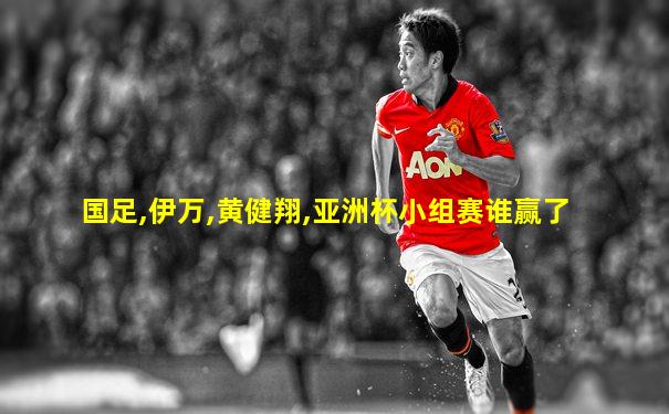 国足,伊万,黄健翔,亚洲杯小组赛谁赢了