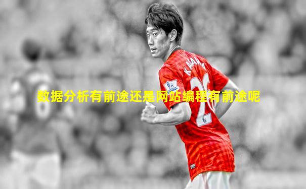 数据分析有前途还是网站编程有前途呢