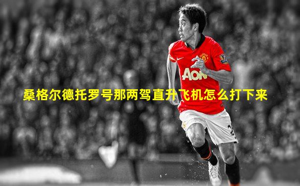 桑格尔德托罗号那两驾直升飞机怎么打下来