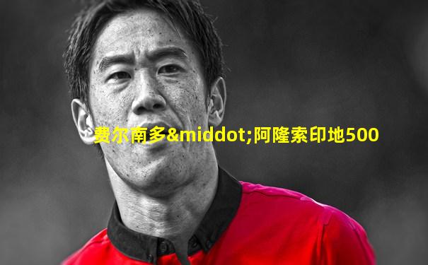 费尔南多·阿隆索印地500